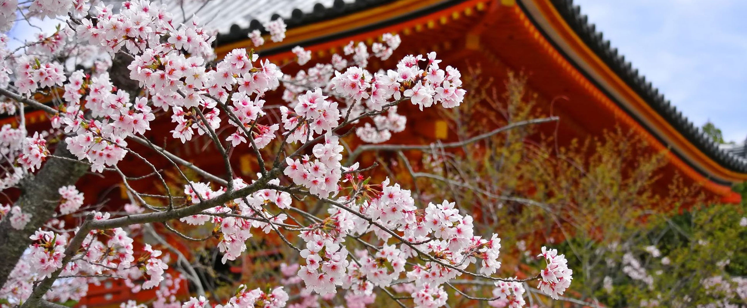 真言宗　同源山　大蔵寺　大照院