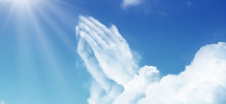 真言宗　同源山　大蔵寺　大照院